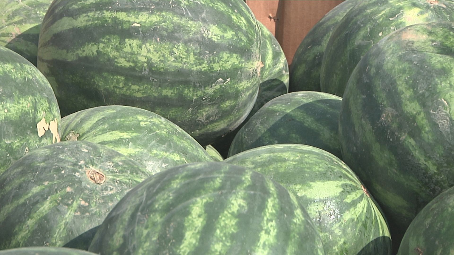 Fruit from Needline